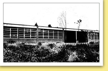 Ecole 1951